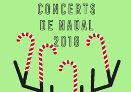 Club Coral de la Nau Gran. Concerts de Nadal 2018. 20/12/2018. Centre Cultural La Nau. 12.30h